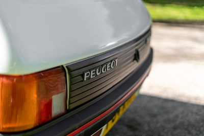 Lot 104 - 1989 Peugeot 205 GTi 1.6