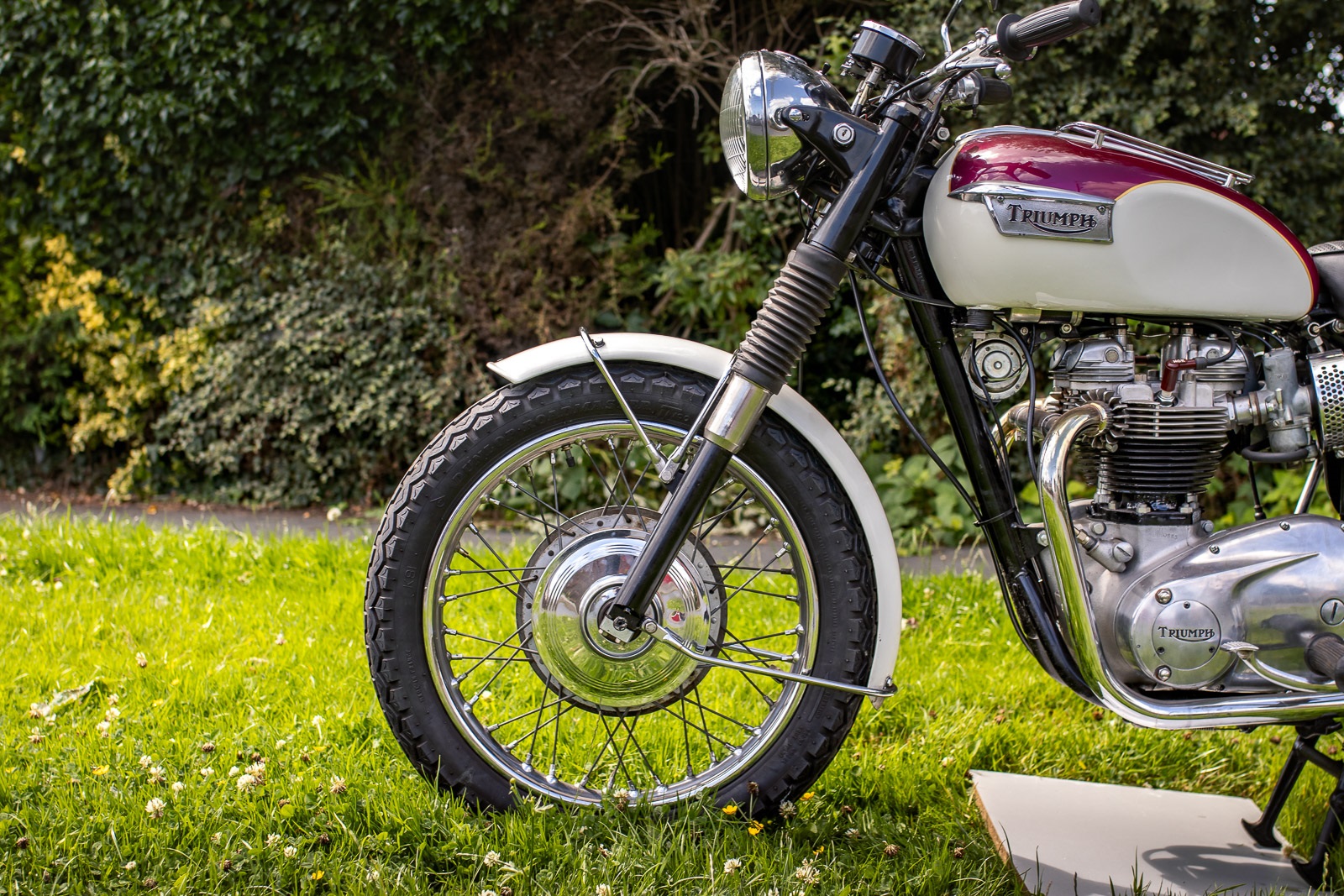 Triumph Bonneville T120 Tr6 Set Bulloni Motore Acciaio Inox 1963-68 Bsf - Foto 5