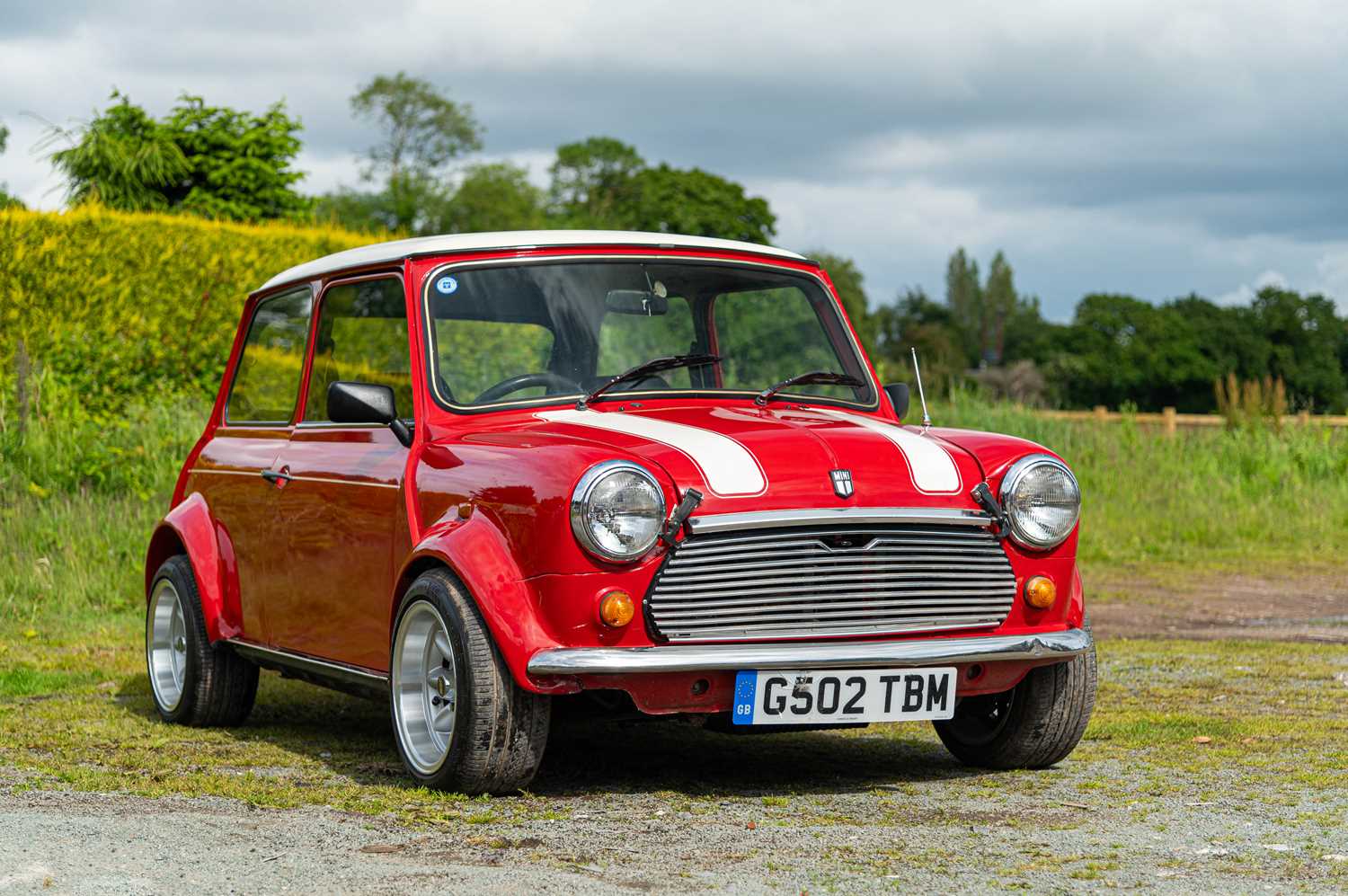 Lot 19 - 1989 Mini 1000