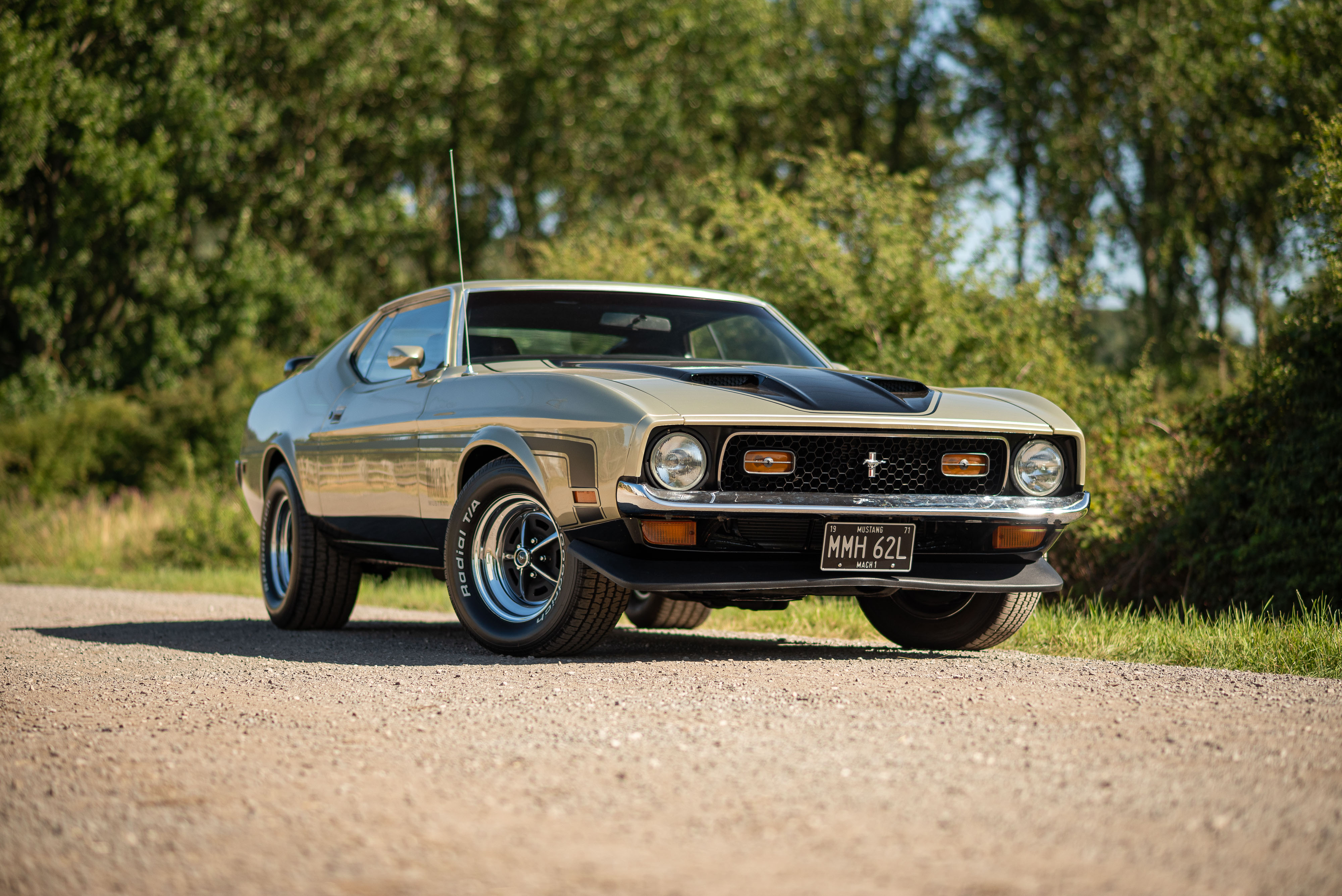 Not Sold | 1971 Ford Mustang Mach 1 351 Cobra Jet A significant model ...