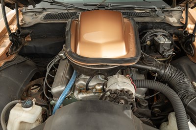 Lot 22 - 1979 Pontiac Trans Am Fire Bird