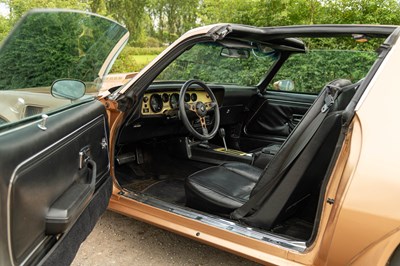 Lot 22 - 1979 Pontiac Trans Am Fire Bird
