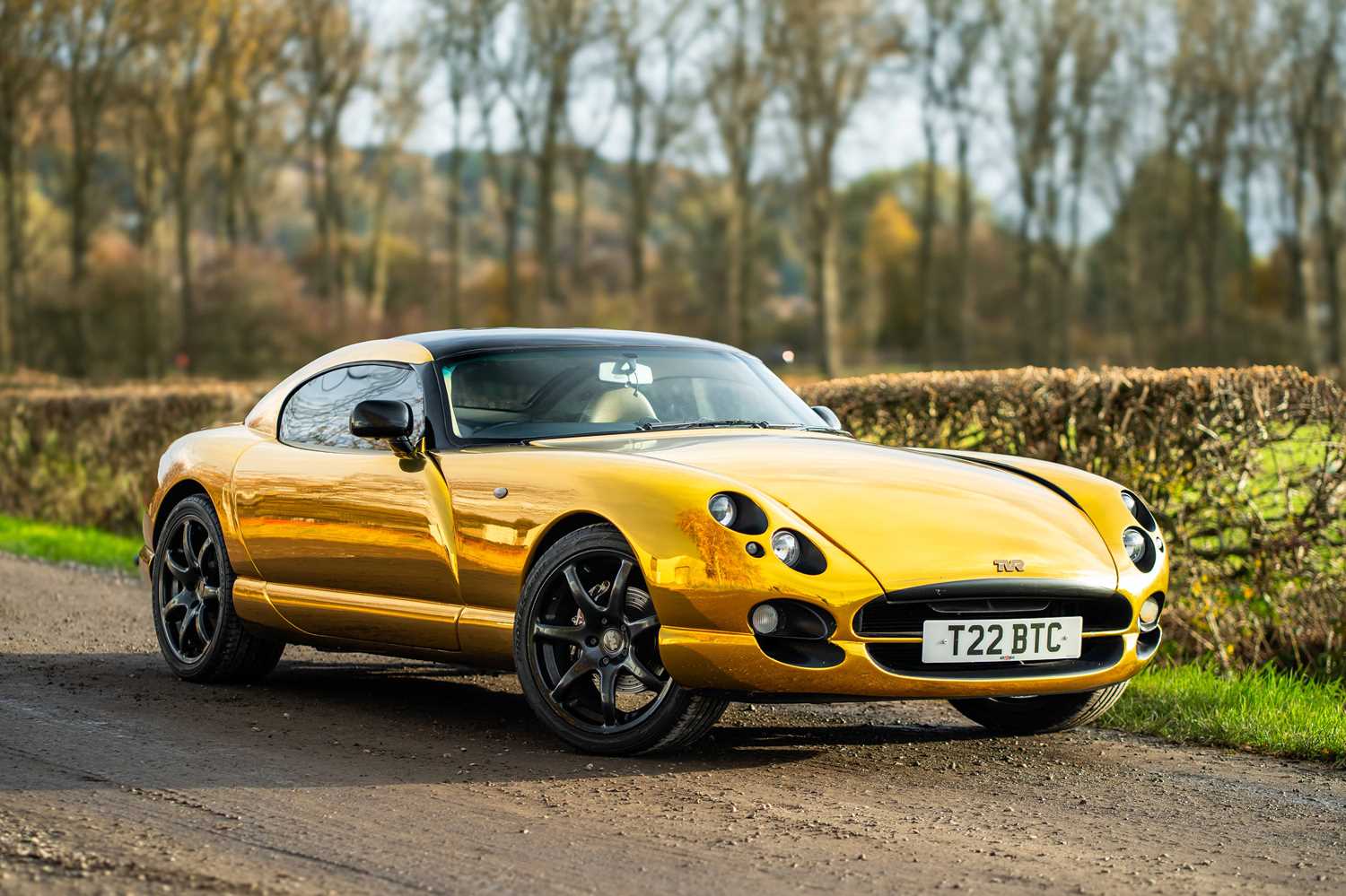 2001 TVR Cerbera Speed Six