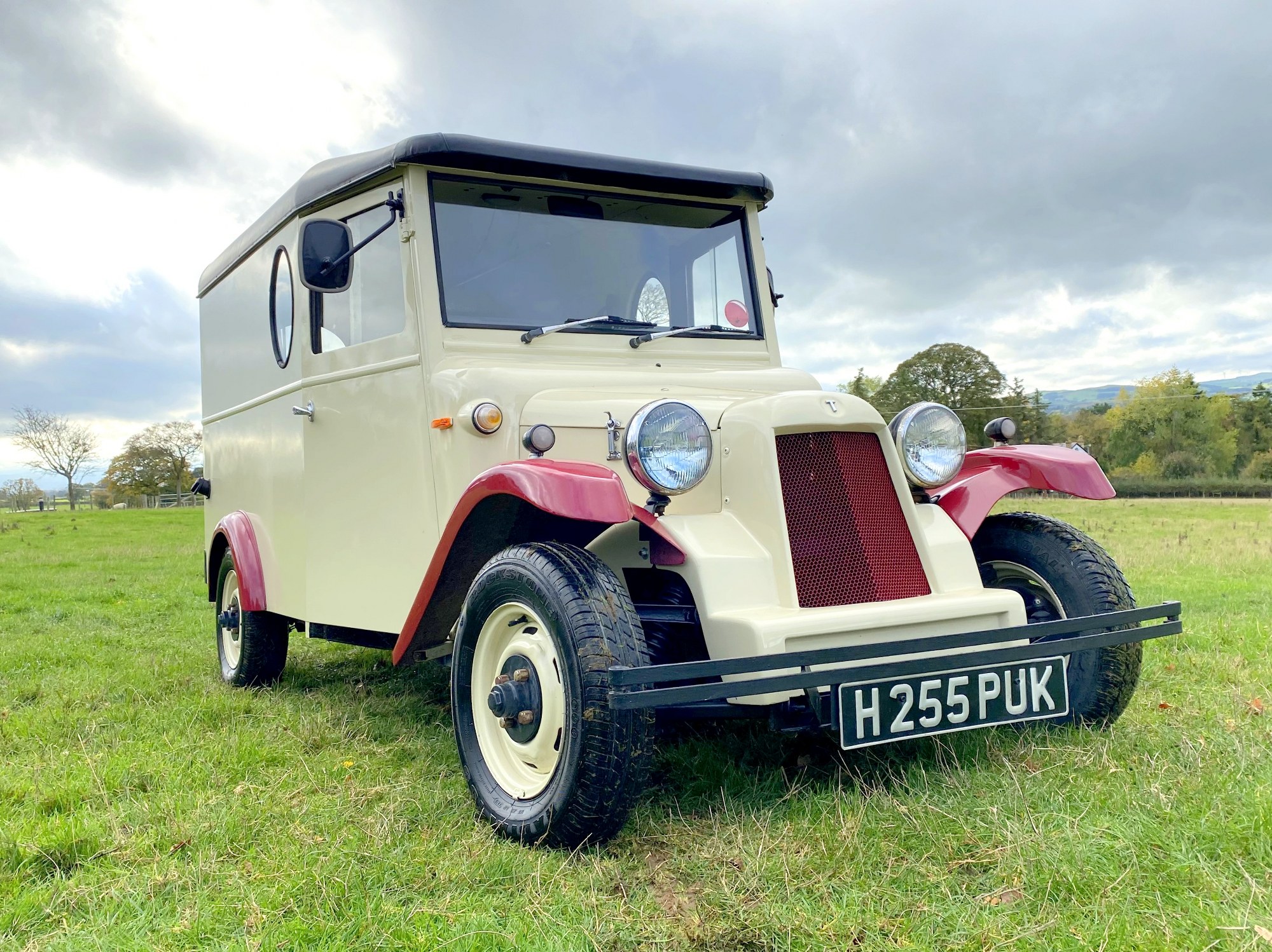 Lot 31 - 1991 Tempest Vantique