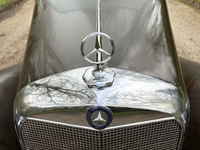 Lot 37 - 1936 Mercedes-Benz 170V Roadster